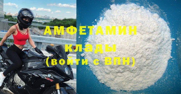 прущие грибы Гусев