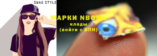 2c-b Ельня