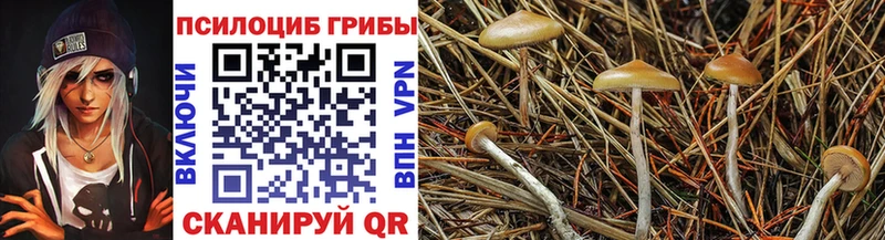 Псилоцибиновые грибы Psilocybine cubensis  мега как войти  Касимов 